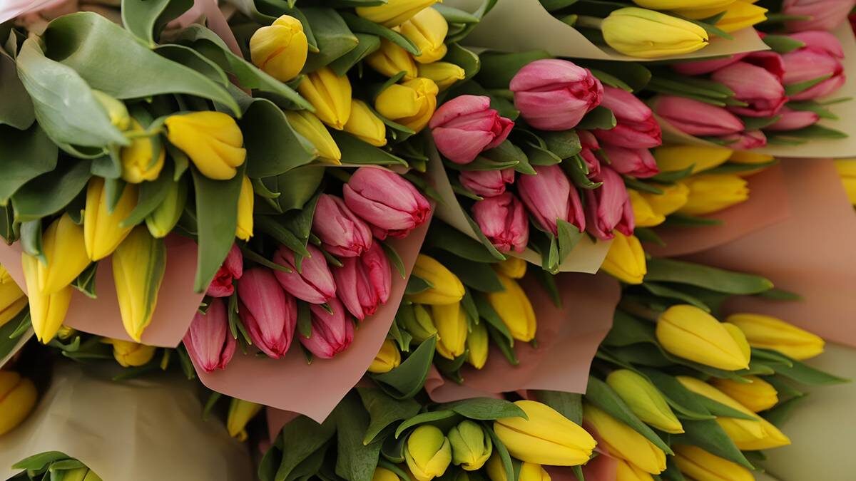    Фото: Анатолий Цымбалюк / Вечерняя Москва