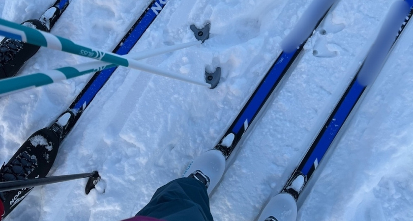    Фото: архив редакции "Pro Город"