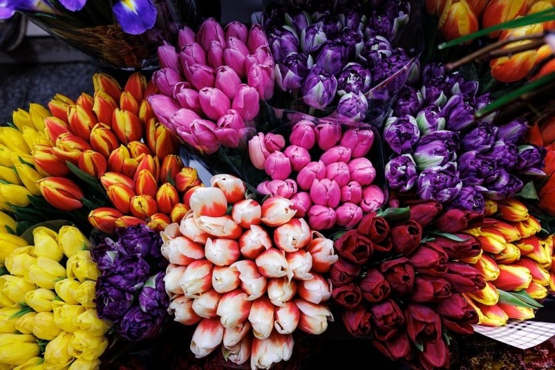     Тематическое фото. Фото: Евгений Кулешов, ИА PrimaMedia