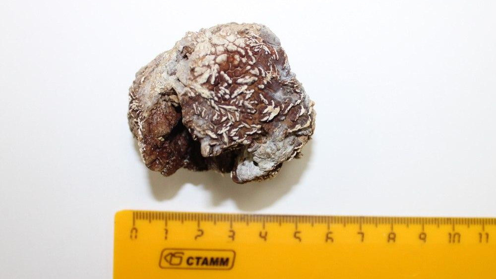 Фото: Министерство здравоохранения Московской области