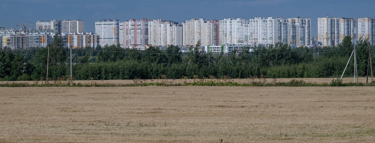    Панорама южный районов Санкт-Петербурга. Автор фото: Михаил Тихонов/"ДП"