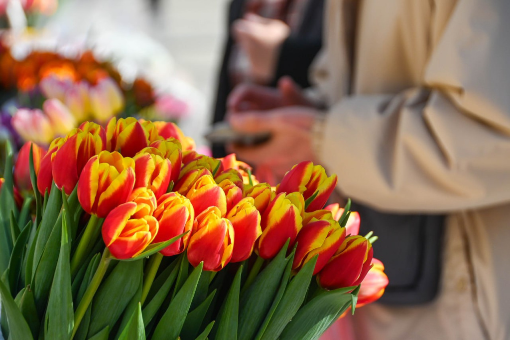 Фото: Гала Амарандо