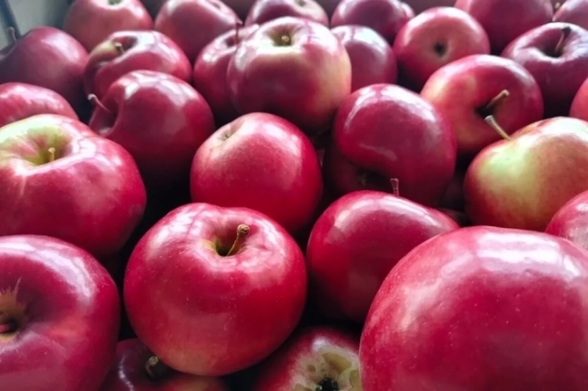    Красноярка потеряла сознание на диете из яблок во время поста