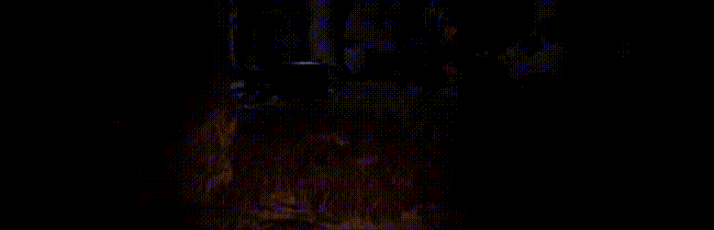 Спасибо за просмотр!