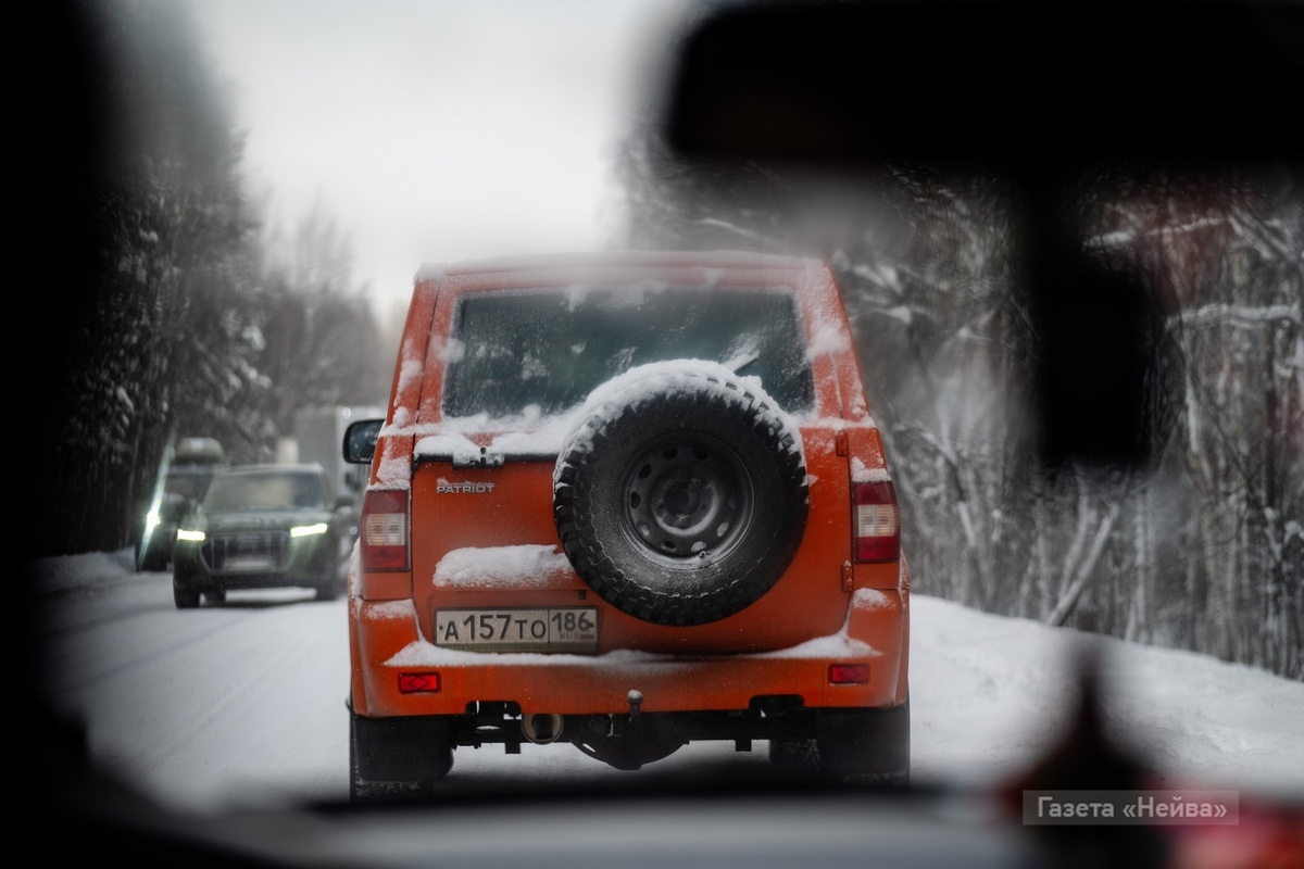 Фото Анны Молодожен