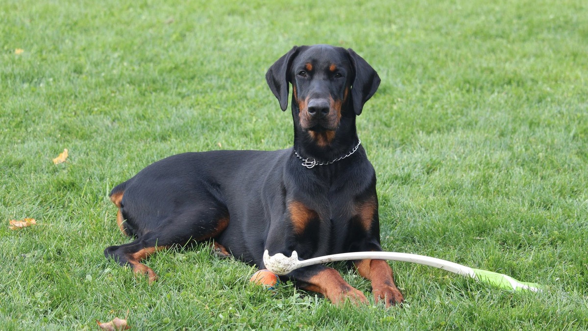    Фото несет иллюстративный характер