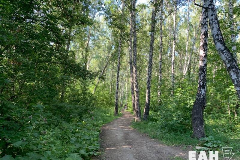    ЕАН. Деревья и зелень