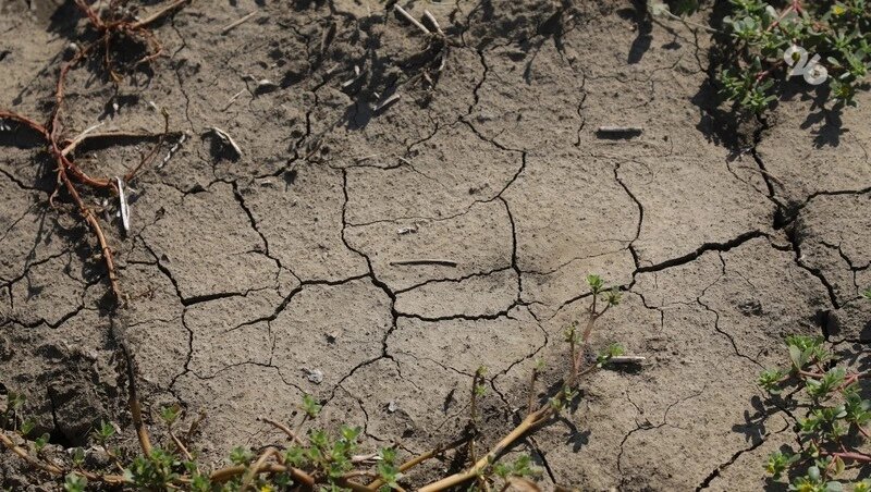      Фото: Дмитрий Ахмадуллин / / ИА «Победа26»