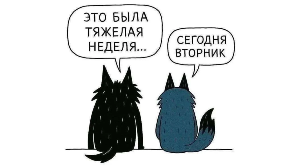 Аллегория философского отношения к жизни. 2026 год