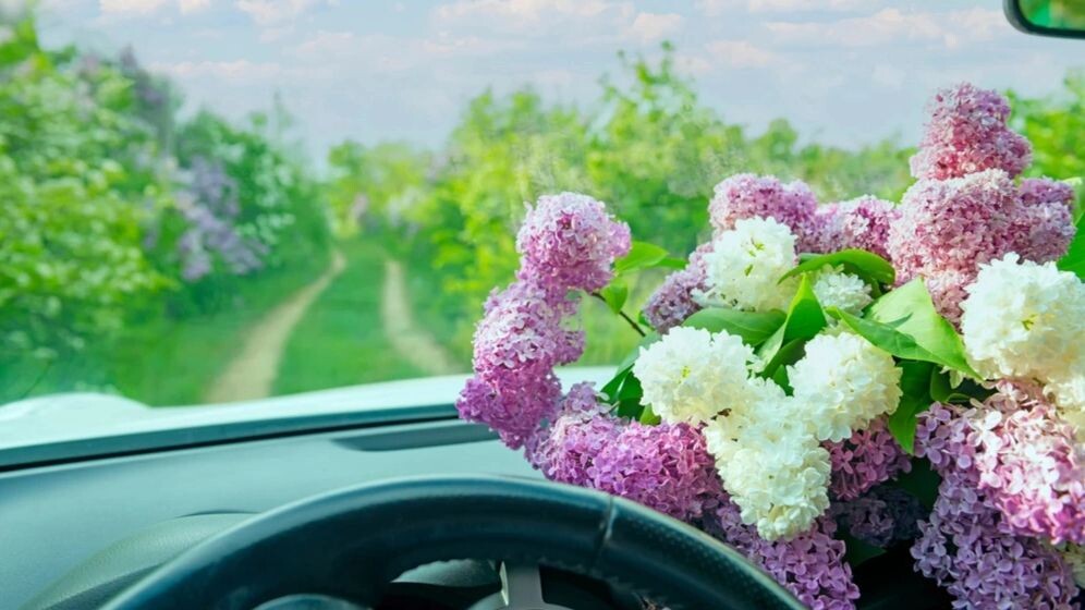    Фото: Ann Stryzhekin/Shutterstock/Fotodom