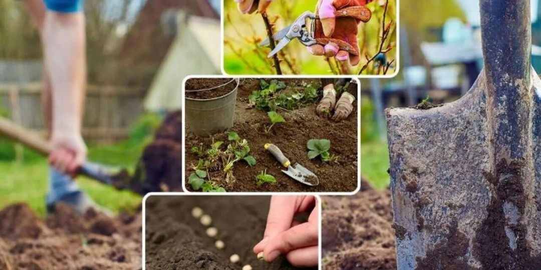 Снег сошел - бери лопату и ведро: нужный труд на огороде в марте, без которого не видать большого урожая