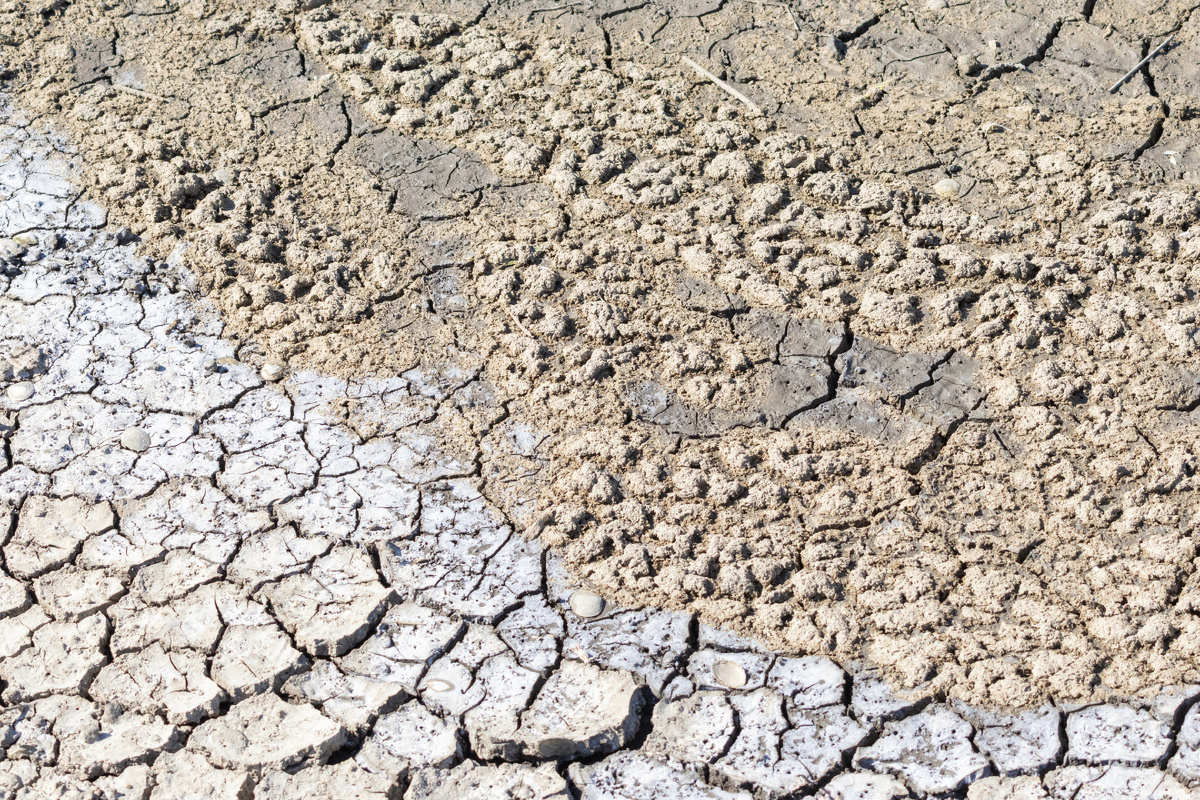 Фото: GettyImages.