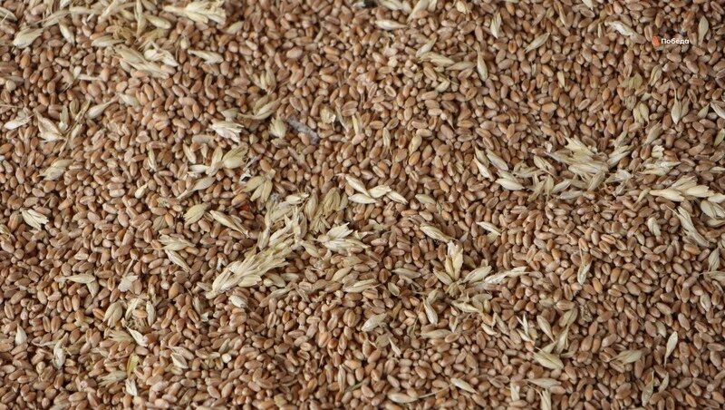      Фото: ИА «Победа26