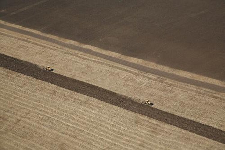    Фото: Комитет сельского хозяйства Волгоградской области