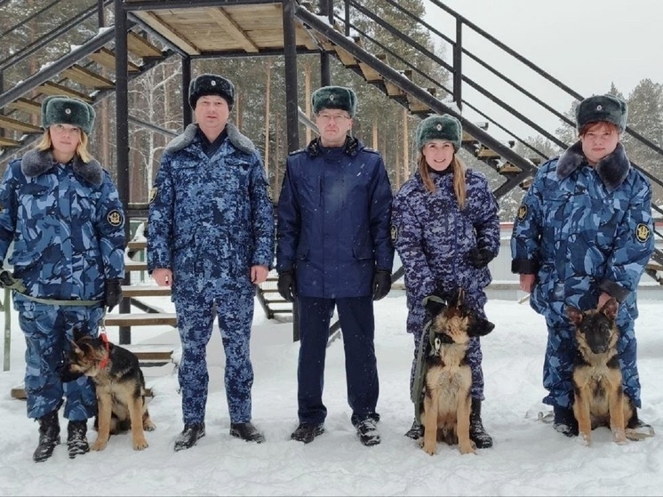     Щенки немецкой овчарки. фото: пресс-служба ГУФСИН России по Свердловской области