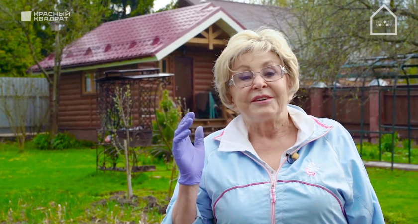    Скриншот из видео