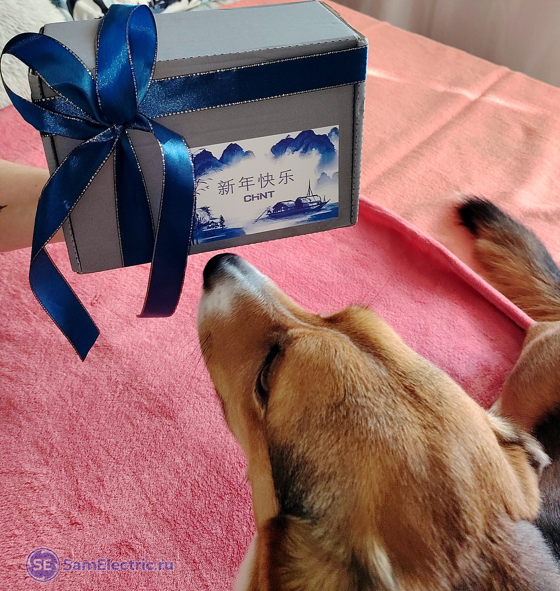 Арчи тоже всё очень понравилось