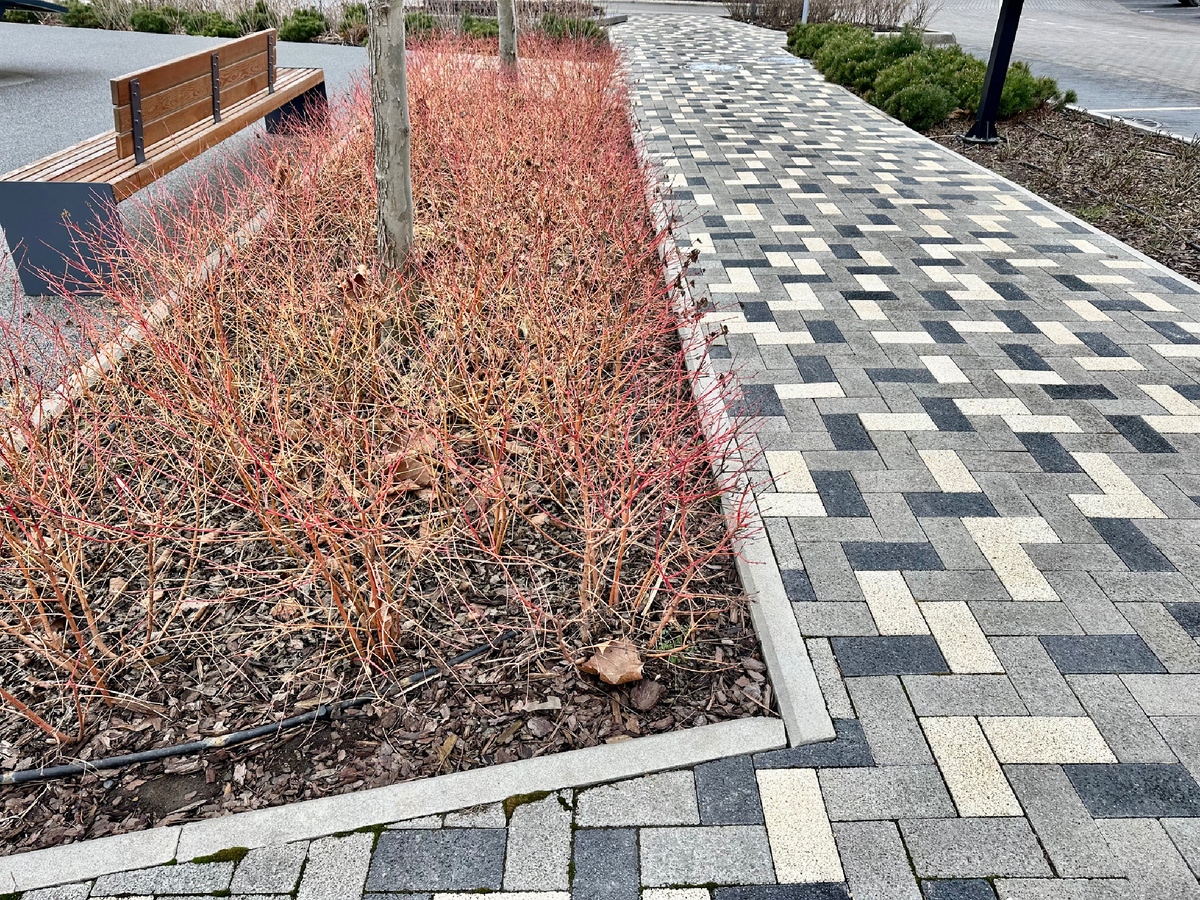 Современный тротуар в Краснодаре.