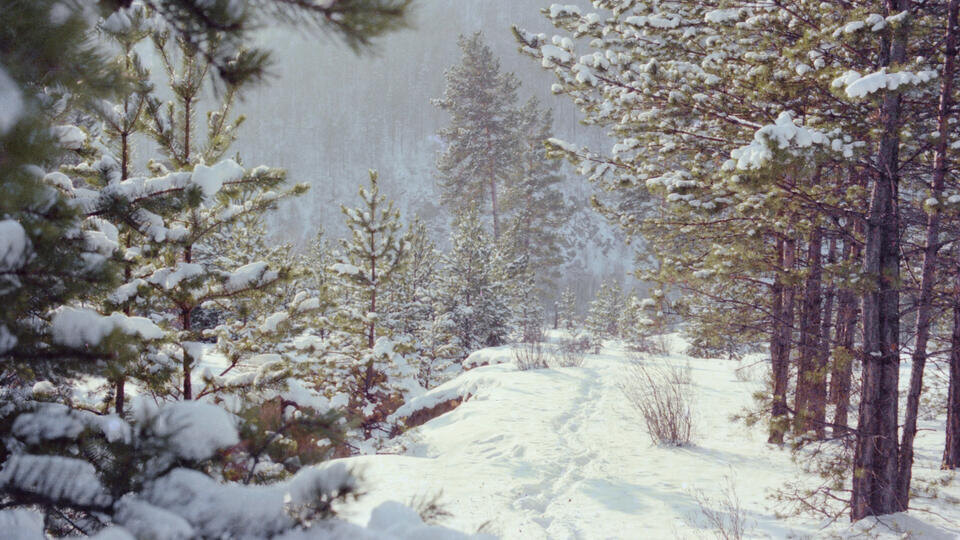 ФОТО: Калачьян Григорий/Фотохроника ТАСС
