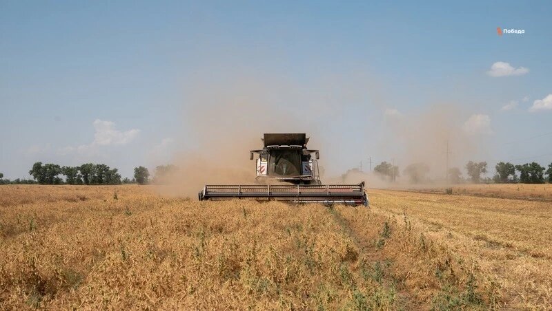      Фото: ИА «Победа26»