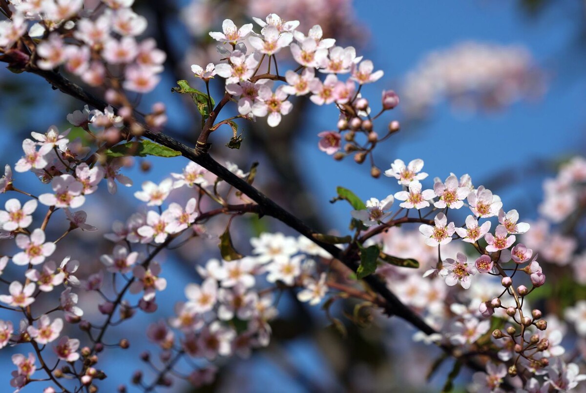     / Источник: © ИЗВЕСТИЯ/Дмитрий Коротаев