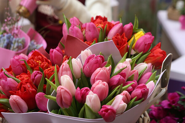 Sergey Bezgodov/Shutterstock/FOTODOM   📷