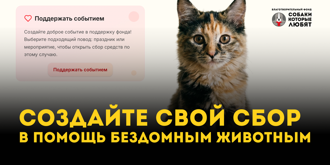 Как превратить личное событие в помощь животным