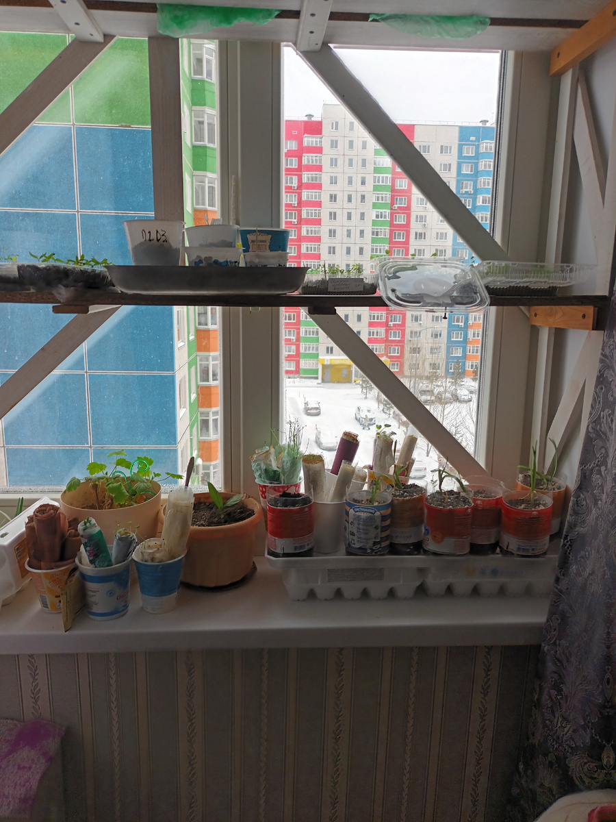 Стеллаж дело рук мужа