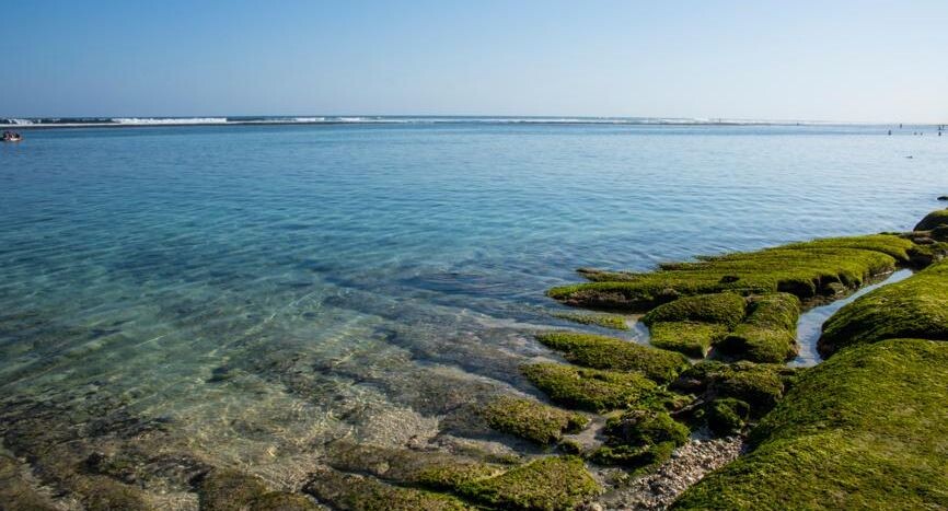    Ingram Publishing / Фотобанк Лори