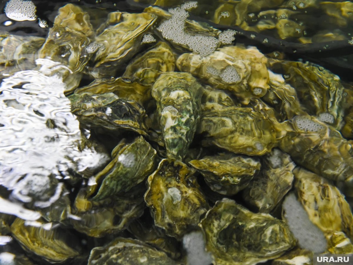     На тушение ресторана выезжали 17 сотрудников МЧС