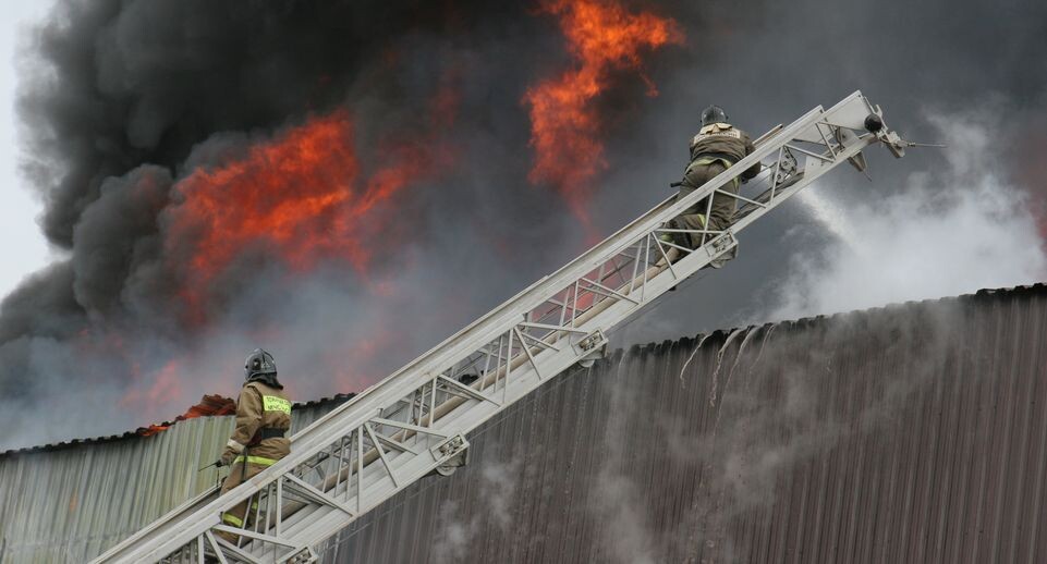    Медиасток.рф