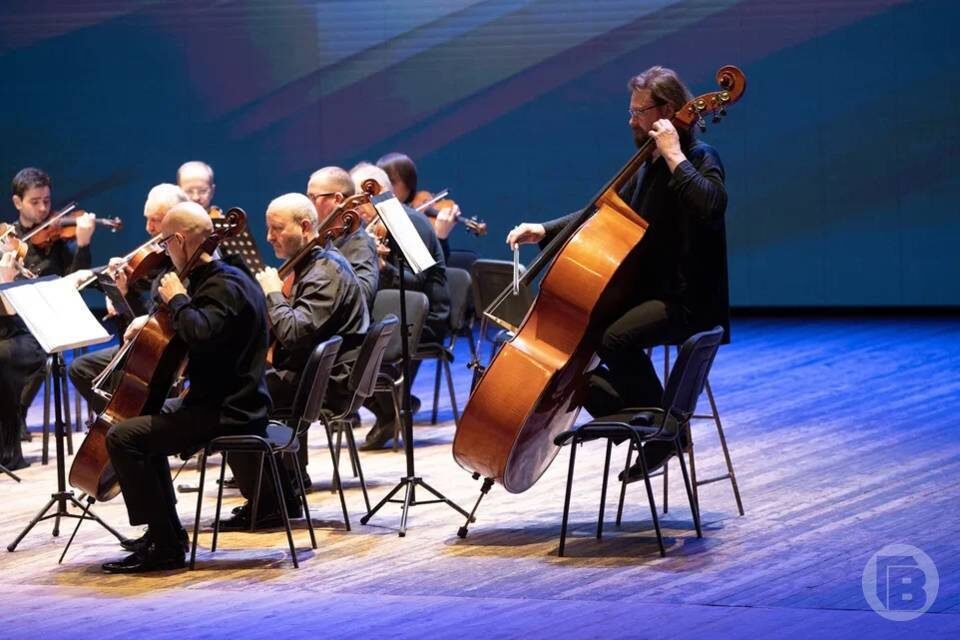    фото: Павел Мирошкин / "Городские вести"