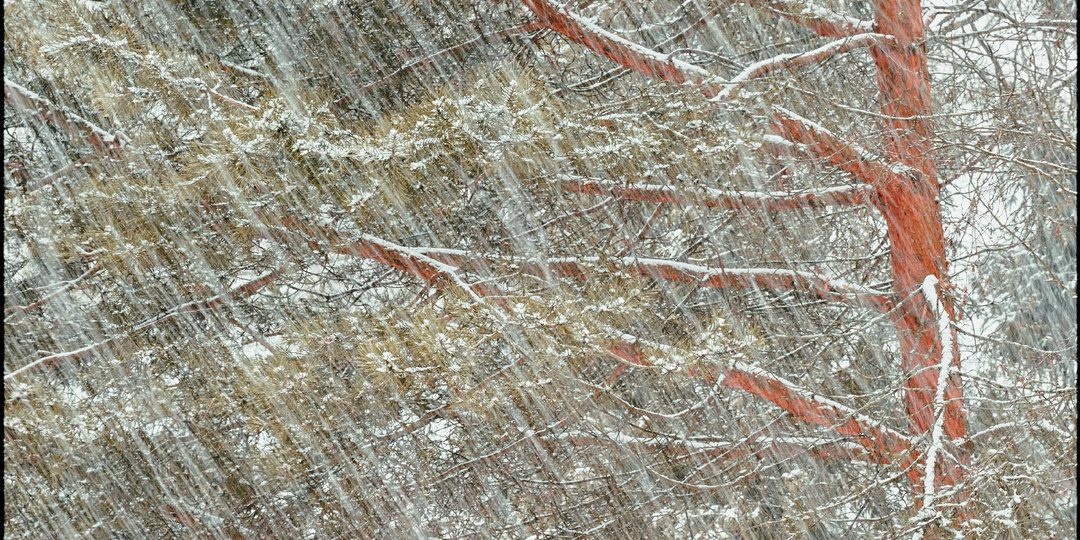 Се зима у окон явилася паки!