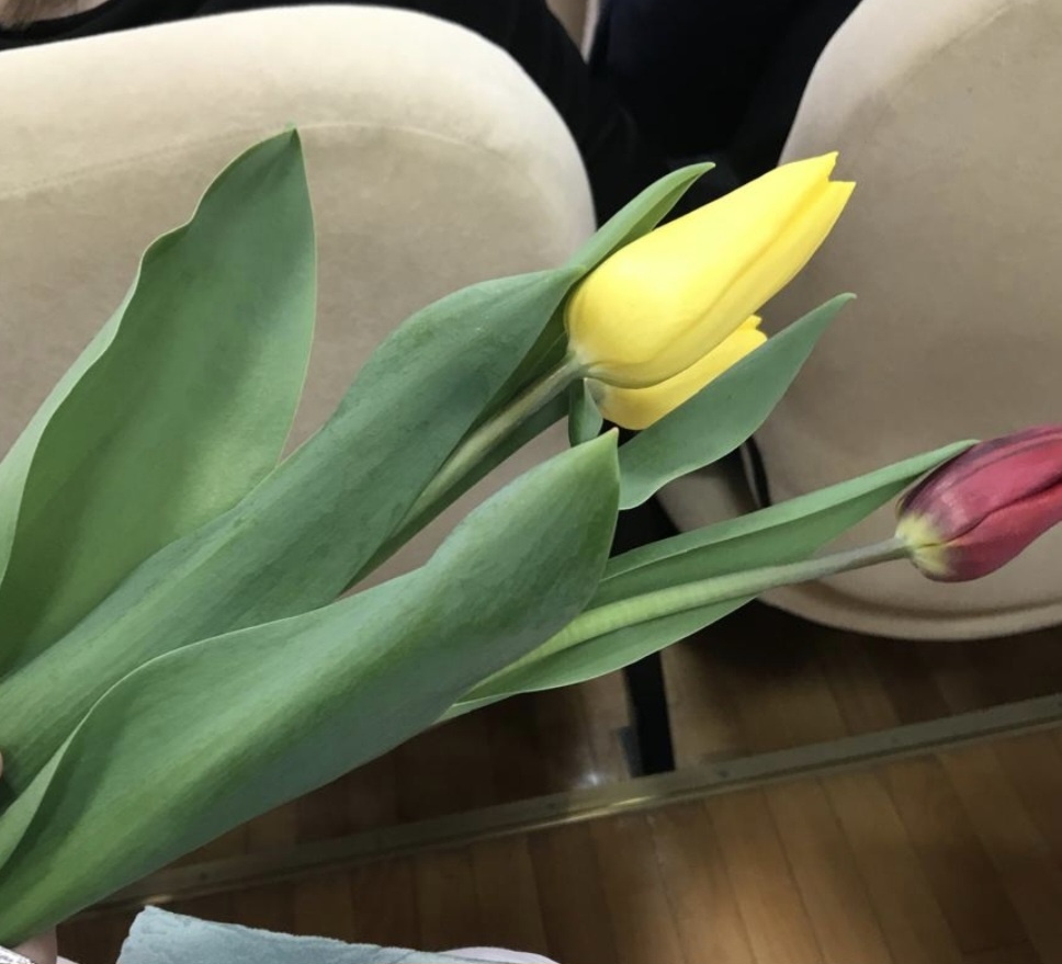 Домашний архив