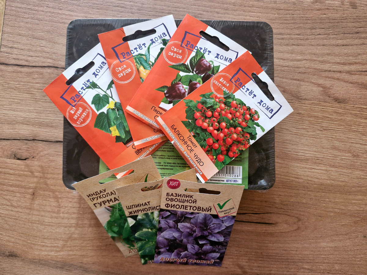 Планы на этот сезон