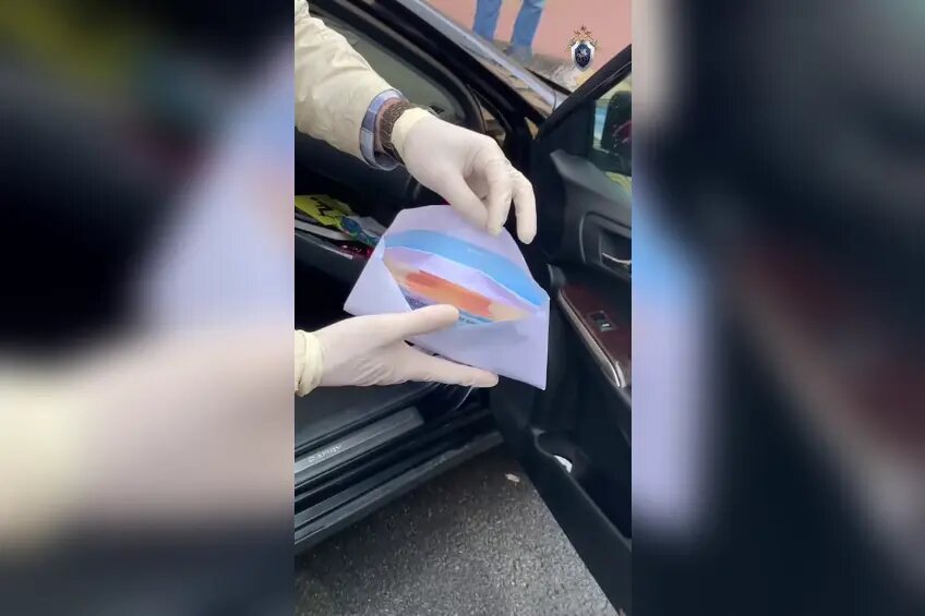    Фото: кадр видео ГСУ СК по Петербургу