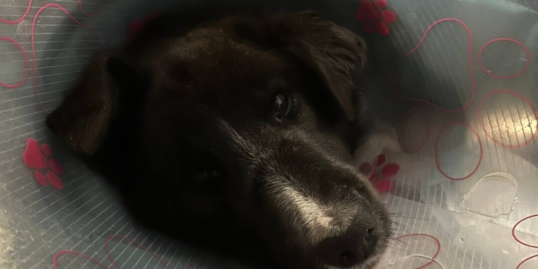 Юльку забрали. Везем домой.