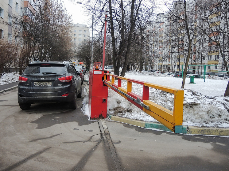   Наталья Мущинкина