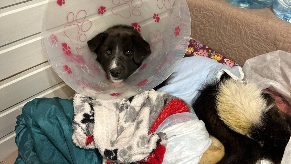 Мы с Юлькой дома