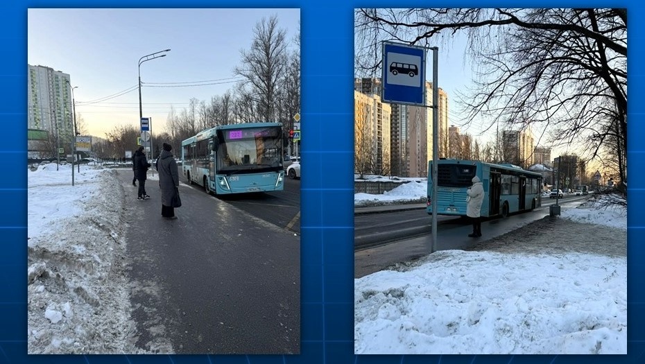    Автор фото: Пресс-служба Смольного