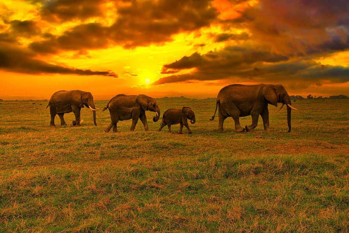 Прогуливаясь по вечности на пути в вечность. 