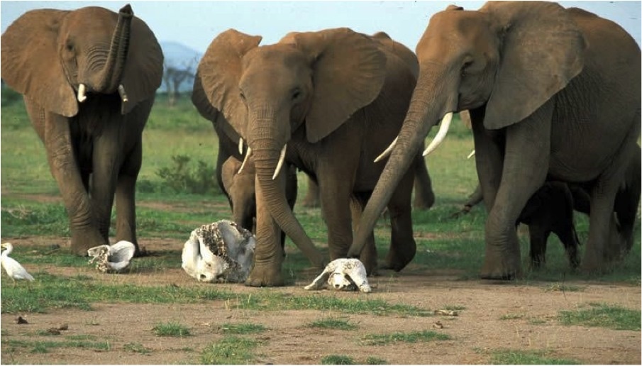 Ну, не чокаясь. 