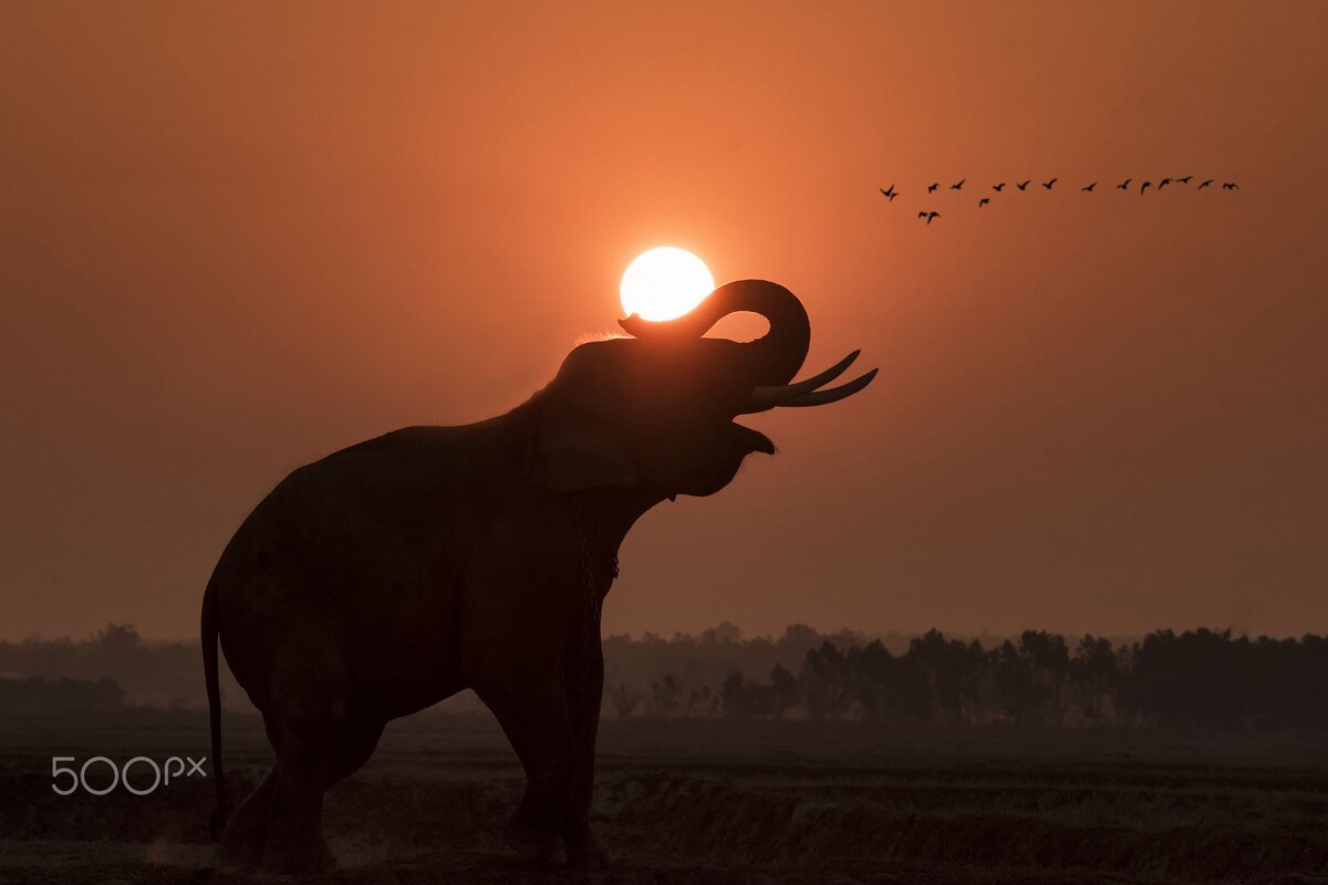 �, ������, �� ������� ����?