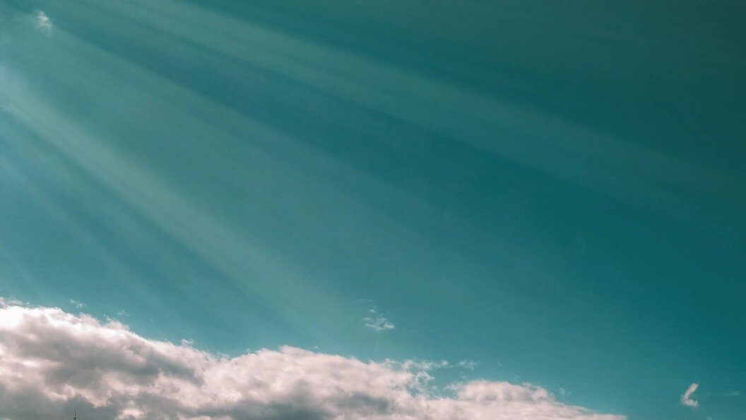    Фото: Телеканал Царьград