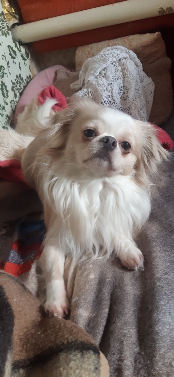 Играем в пифу-пифу))