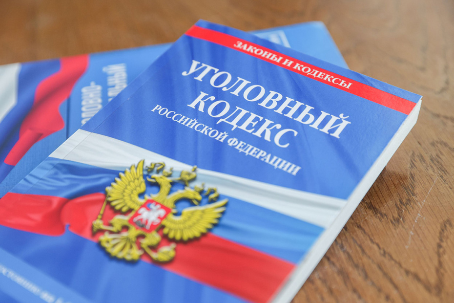    Наталья Шатохина/NEWS.ru