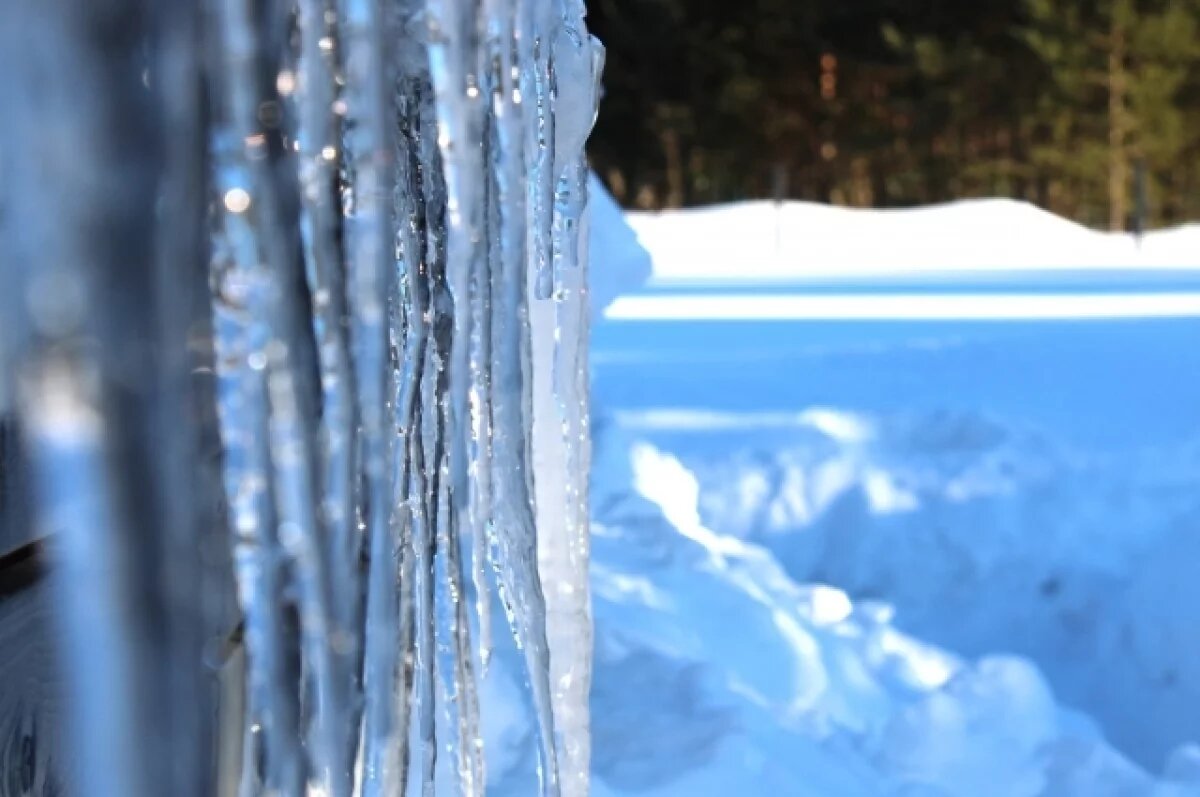    Паводок и нашествие клещей?