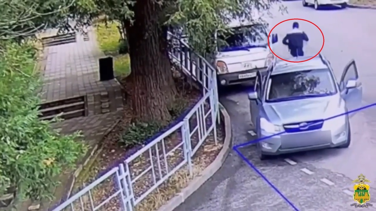 кадр из видео/Полиция Сочи  📷
