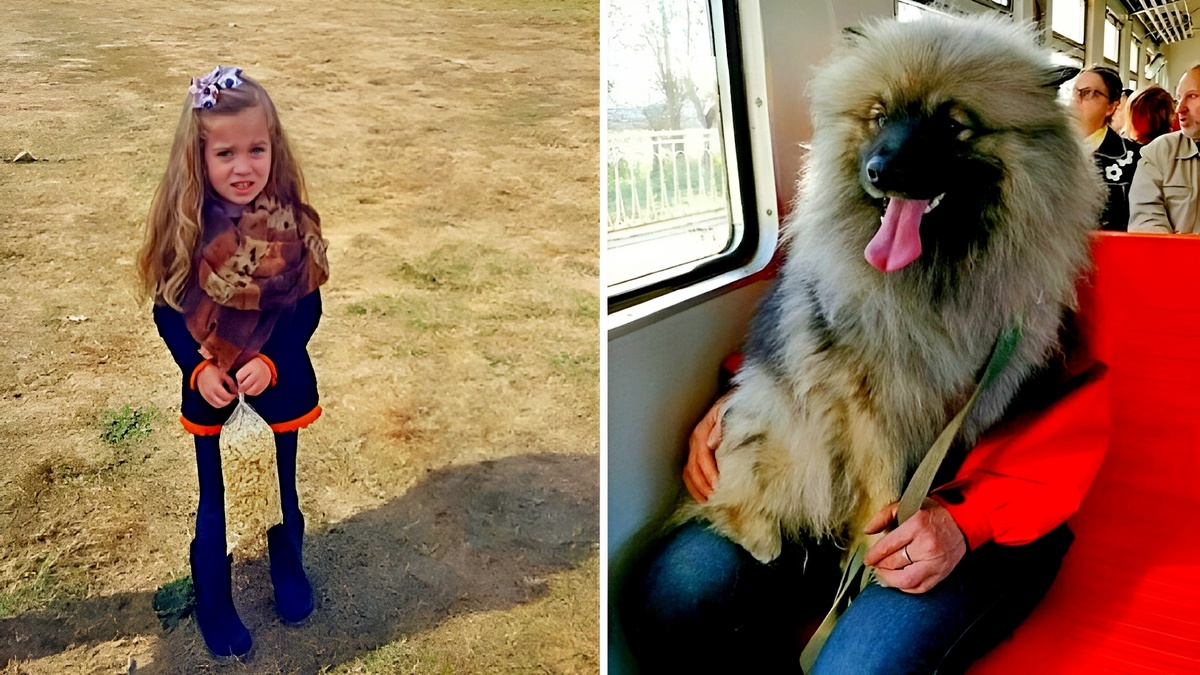 14 примеров фото-иллюзий, которые заставят вас потерять дар речи 