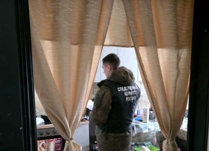 Подозреваемая заключена под стражу